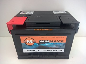 WINMAXX 60AH L 600A (4)
